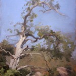 Tree by Laguna Beach, ©2009 By Adrian Gottlieb
©2009
Oil on linen glued to gatorboard
Size: 11"x14"
SOLD Private collection
Jon and Kristen Barron L.A., California, USA